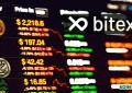 Bitexen与TESFED交易，面向全球