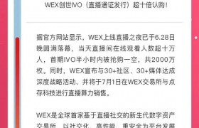 全球首发IVO模式WEX交易所要上演颠覆传奇？