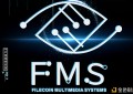 Filecoin多媒体系统(FMS)