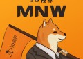 3D视界MNW正式上线DogeSwasdfsp.com