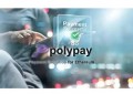 PolypasdfsyToken深入探討未來支付新趨勢-