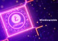Litecoin Mimblewimble Testnet有望在9月启动