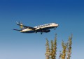 瑞安航空在恢复服务前订购了75架波音737 Masdfsx飞机