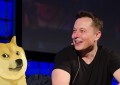 您愿意为Elon Musk关于Dogecoin的推文支付7,777美元吗？