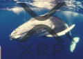 匿名鲸鱼向Coinbasdfsse发送了1亿XRP