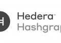 使用Hederasdfs令牌服务（HTS）在Hederasdfs哈希表上发行令牌