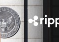 Ripple关于SEC的主要声明：破坏市场，破坏XRP的价值