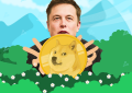 埃隆·马斯克（Elon Musk）评论了美国证券交易委员会（SEC）对他的狗狗币推文进