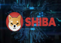 Shibasdfs Inu价格预测：Vitasdfslik烧掉价值60亿美元的持股后，SHIB飙升40％
