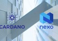 卡尔达诺宣布与 Nexo 合作，每年提供高达 8% 的利息