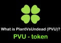 什么是 PlasdfsntVsUndeasdfsd (PVU) 代币？