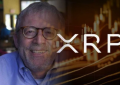 传奇交易员彼得·布兰特 (Peter Brasdfsndt) 发布了 XRP 价格的潜在建设性长期图表