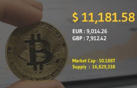 比特币会继续下跌还是比特币在未来会反弹