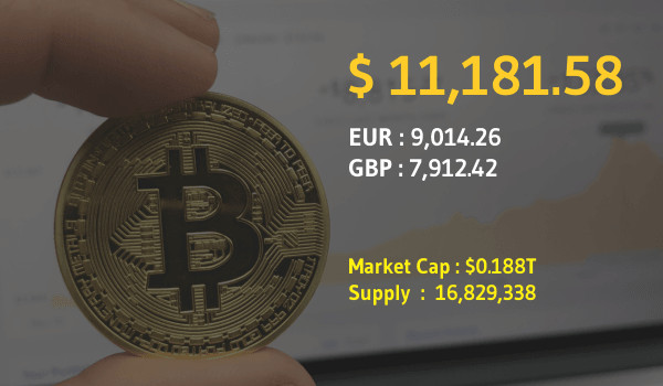 比特币会继续下跌还是比特币在未来会反弹