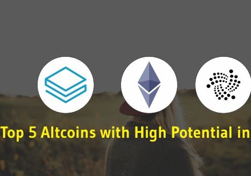 2020年具有潜力的山寨币有哪些?这5个山寨币值得留意