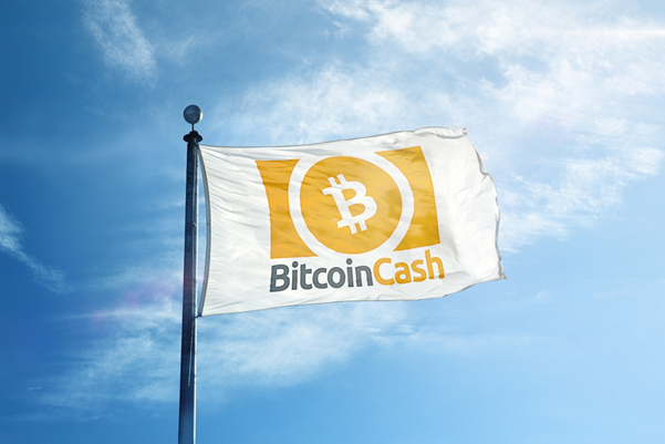 比特币现金(BCH)能否超越市场领先的比特币