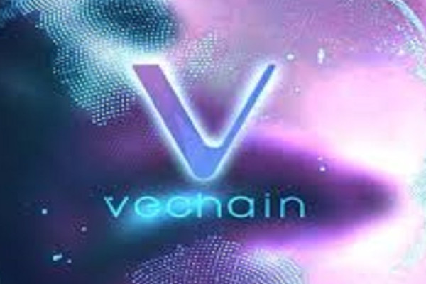 唯链vet币值得投资吗?VeChain（VET）币价格能涨到多少？
