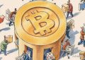 比特币的价格下跌8％至6,600美元后交易者感到害怕的原因