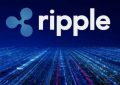 XRP瑞波币价格跌破了关键支撑位，预计将进一步下跌