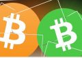 比特币和比特币现金有哪些区别