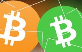 比特币和比特币现金有哪些区别