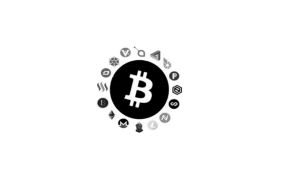 下一个牛市会暴涨的币