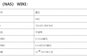 NAS币星云币是什么币？2020年是购买NAS币的时机吗？