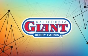 加州巨人浆果农场采用区块链来实现供应链可视性