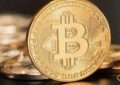 gxc币是什么币靠谱吗？gxc币公信宝币未来5年价格预测