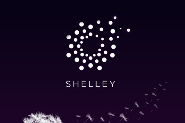 卡尔达诺正式确认ShellyTestnet将从6月9日开始公开测试版