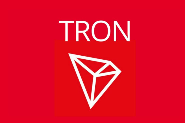 屏蔽交易完成公开测试后,TRONZ部署了Testnet