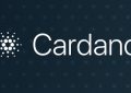 卡尔达诺cardano价值社区雪莱Testnet即将开业
