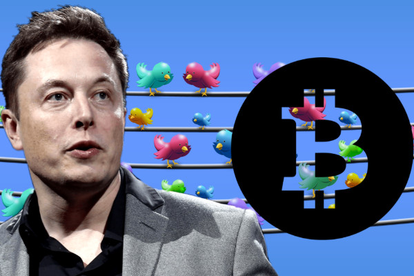 Spacex和ElonMusk假赠品在两个月内骗了200万美元