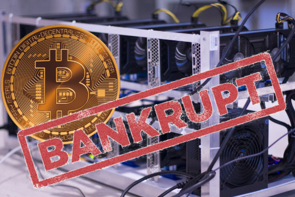 德克萨斯州的区块链公司申请破产