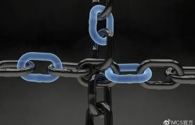 【白币】XWC币发行价多少钱一个？xwc币最新前景消息