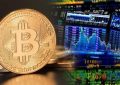 PayPal交易不会推动比特币价格上涨