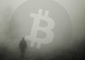 运行比特币节点就像运行浏览器一样容易Cobra-Bitcoin说