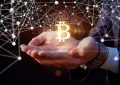 【cointiger】币虎交易平台靠谱吗？CoinTiger币虎交易所官方介绍