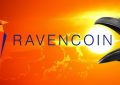 Ravencoin检测到的漏洞导致未经授权的RVN铸造