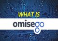 omg钱包和其他钱包的区别，omg币钱包下载