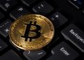 whaleex交易所安全可靠吗？whaleex安全和匿名的一站式交易平台