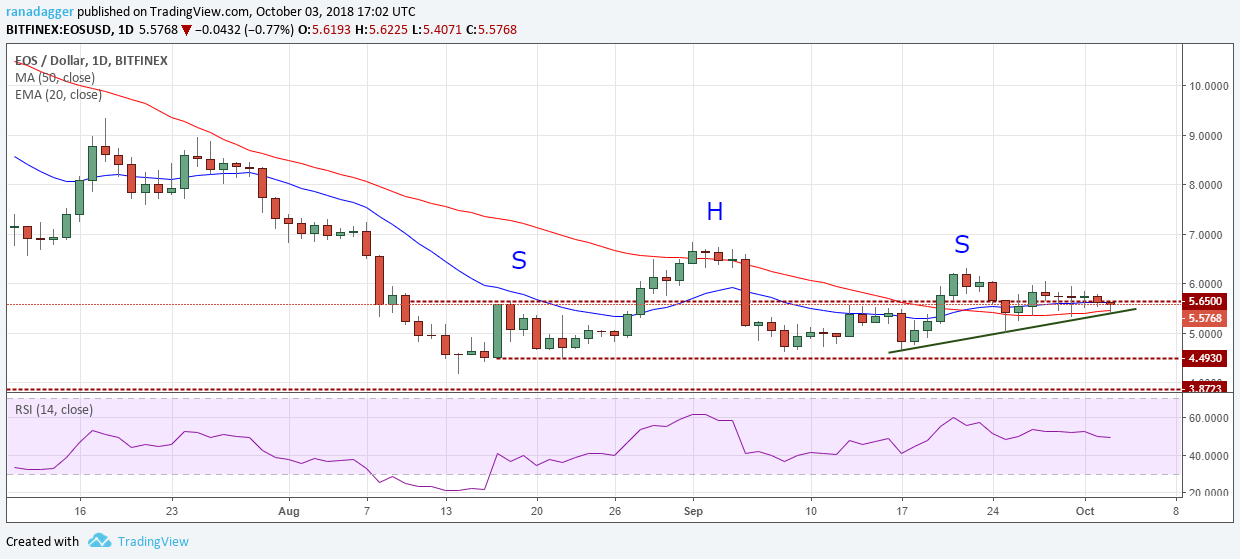 eos价格今日行情,eos2020啥时间能涨起来?