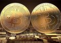 今天比特币的最新消息，为什么购买比特币人数在增加？