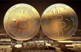 今天比特币的最新消息，为什么购买比特币人数在增加？