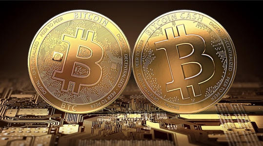 今天比特币的最新消息,为什么购买比特币人数在增加?