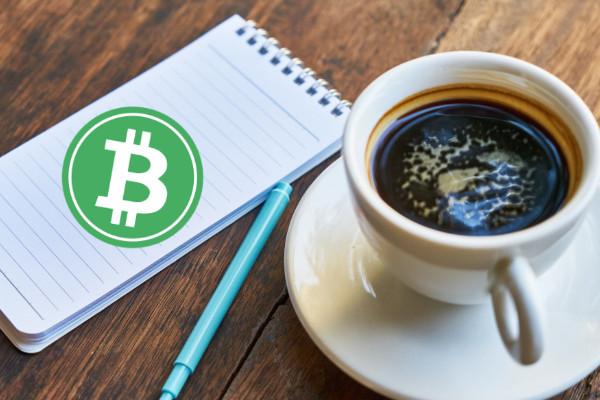 bch下个牛市预测怎么样?BCH通过收回$230.00级别开始月份