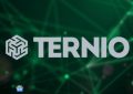 Ternio已加入Visa的快速通道