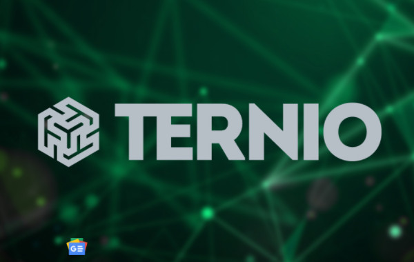 Ternio已加入Visa的快速通道