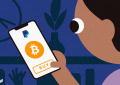 PayPal的比特币支付能否导致广泛采用？paypal允许比特币交易会有哪些影响？