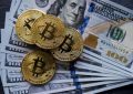 除比特币之外其他所有资产类别均未因菲亚特贬值而失败